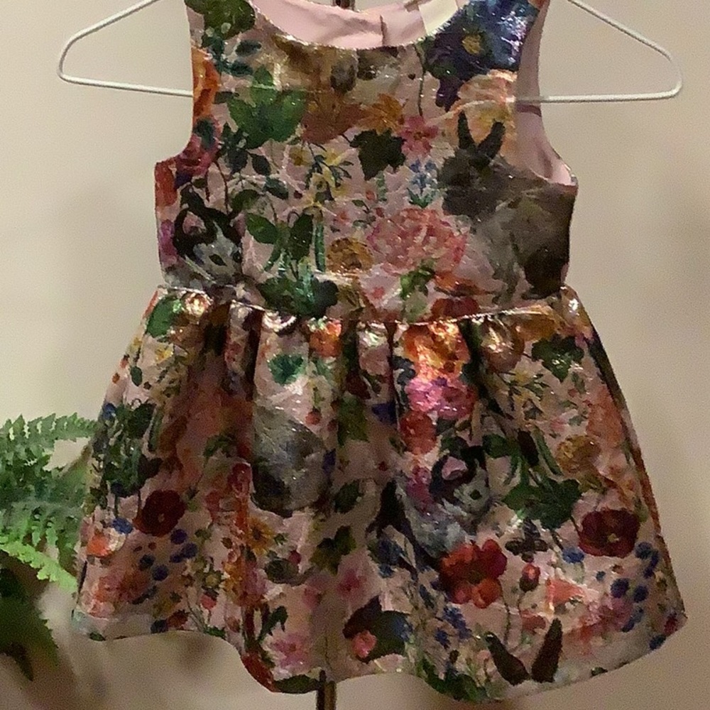 Beautiful floral dress, nice sparkle. Pink lining and under slip